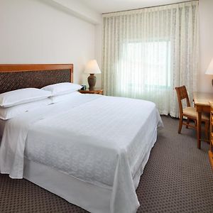 Zimmer mit Queensize-Bett